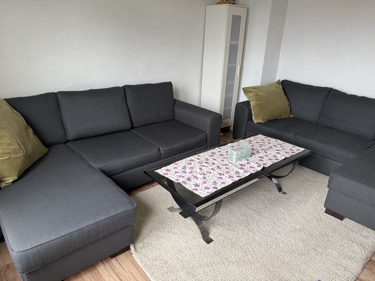 Divani: Sofa – Usato da Schlieren venduto da Flower5 2