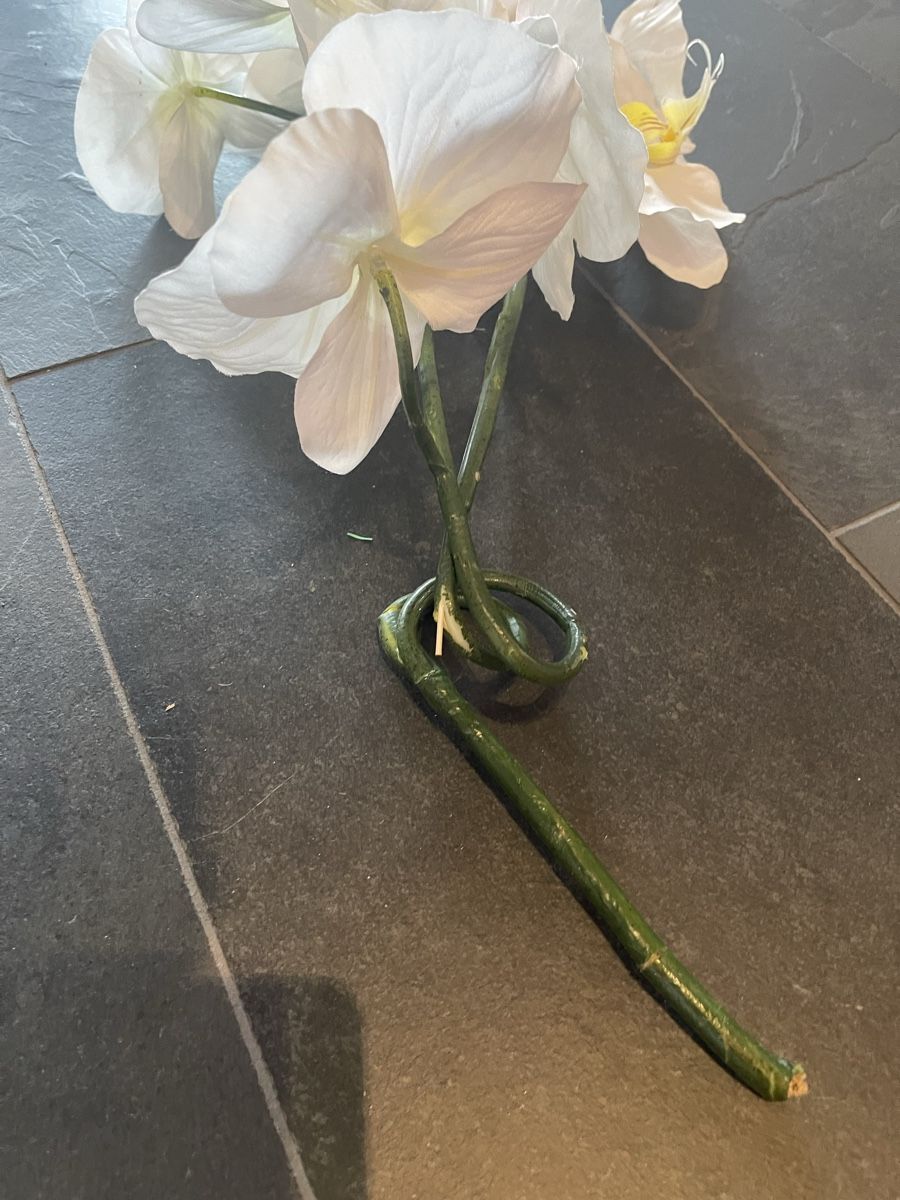 Piante & sementi: Künstliche Orchidee in Weiss / Creme – Usato da Bassersdorf venduto da Sandy456 1
