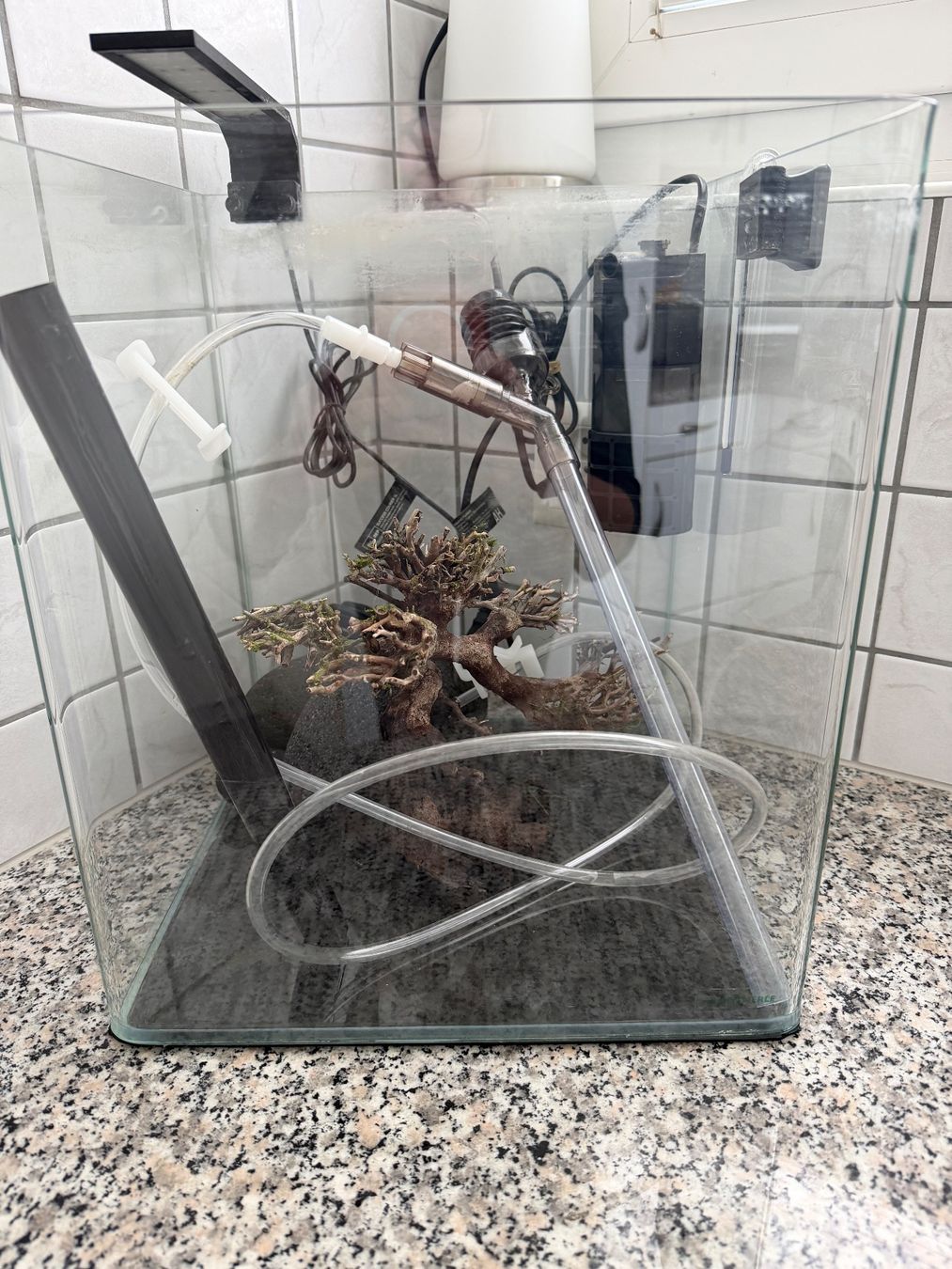 Dennerle Acquari: Nano Cube Complete, 30 L – Usato da Walenstadt venduto da mdr_jl6h 2