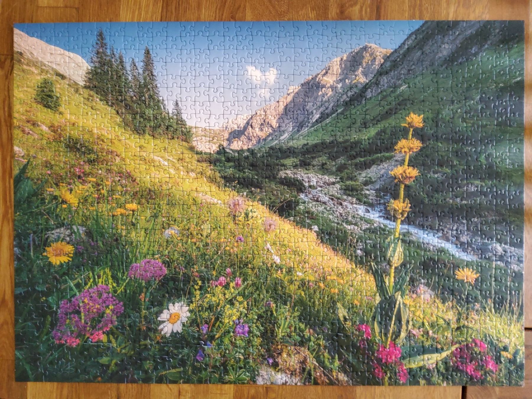 Puzzles: Puzzle 1000 Teile – Gebraucht aus Bauma von Sun1973