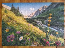 Puzzle 1000 Teile