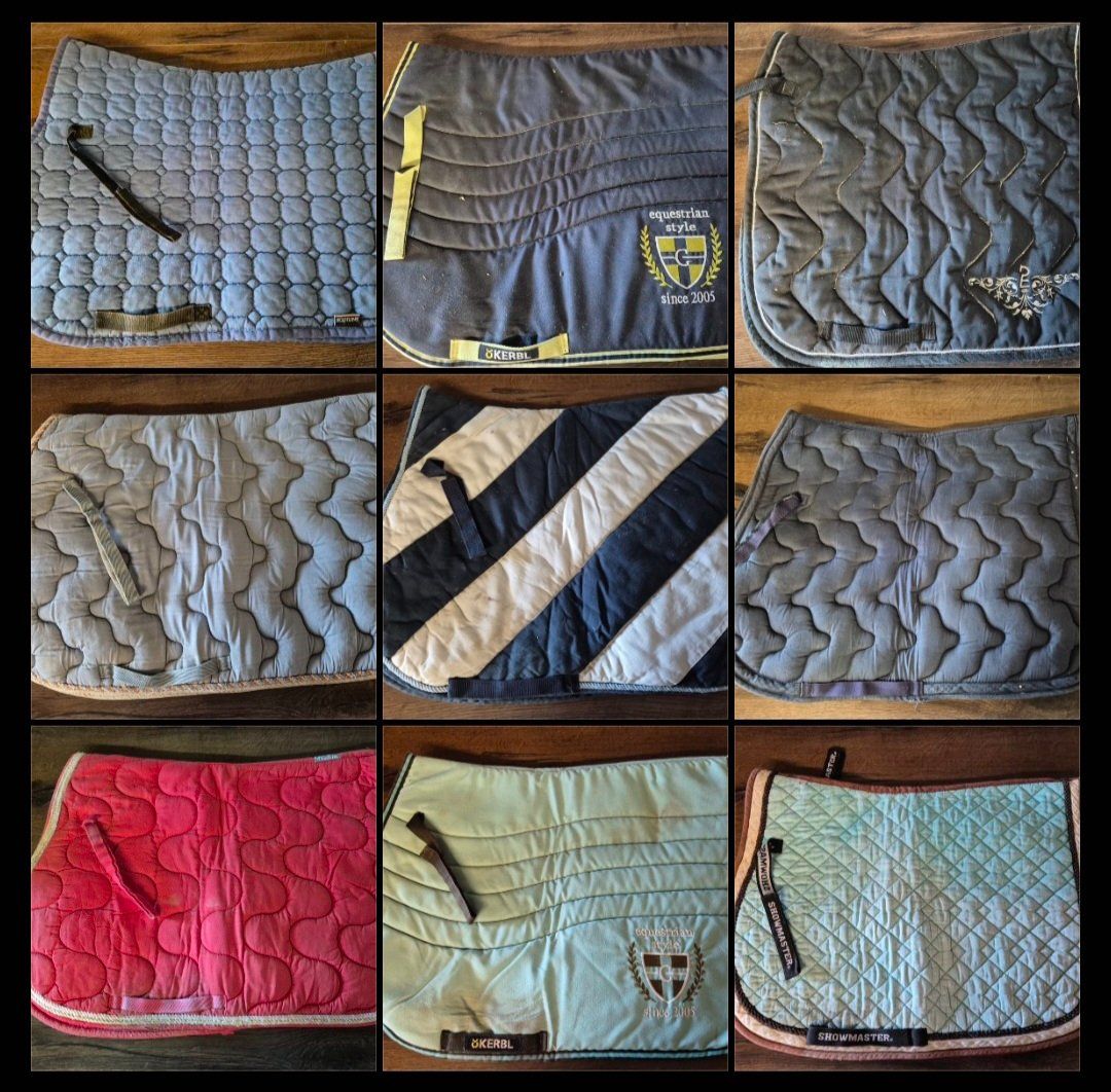 Zaumzeug & Halfter: 12 Schabracken Lot / Set – Neu (gemäss Beschreibung) aus Meggen von Orrinka20