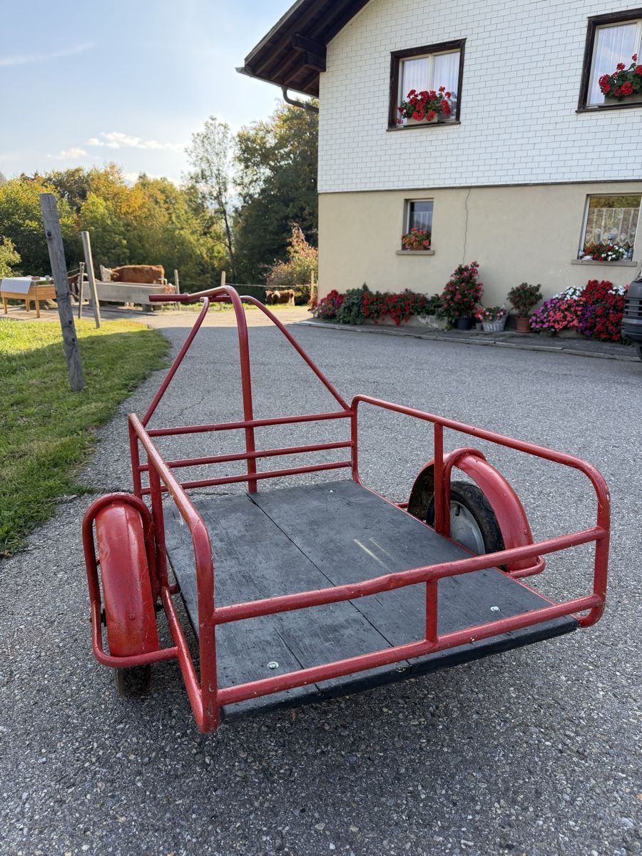 Rimorchi: Velo- Töfflianhänger – Usato da Plasselb venduto da MatthD 2