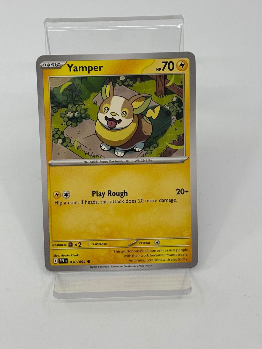 Pokémon Carte collezionabili: Pokemon Yamper 030/094 – Usato da Herisau venduto da Pokemon2026