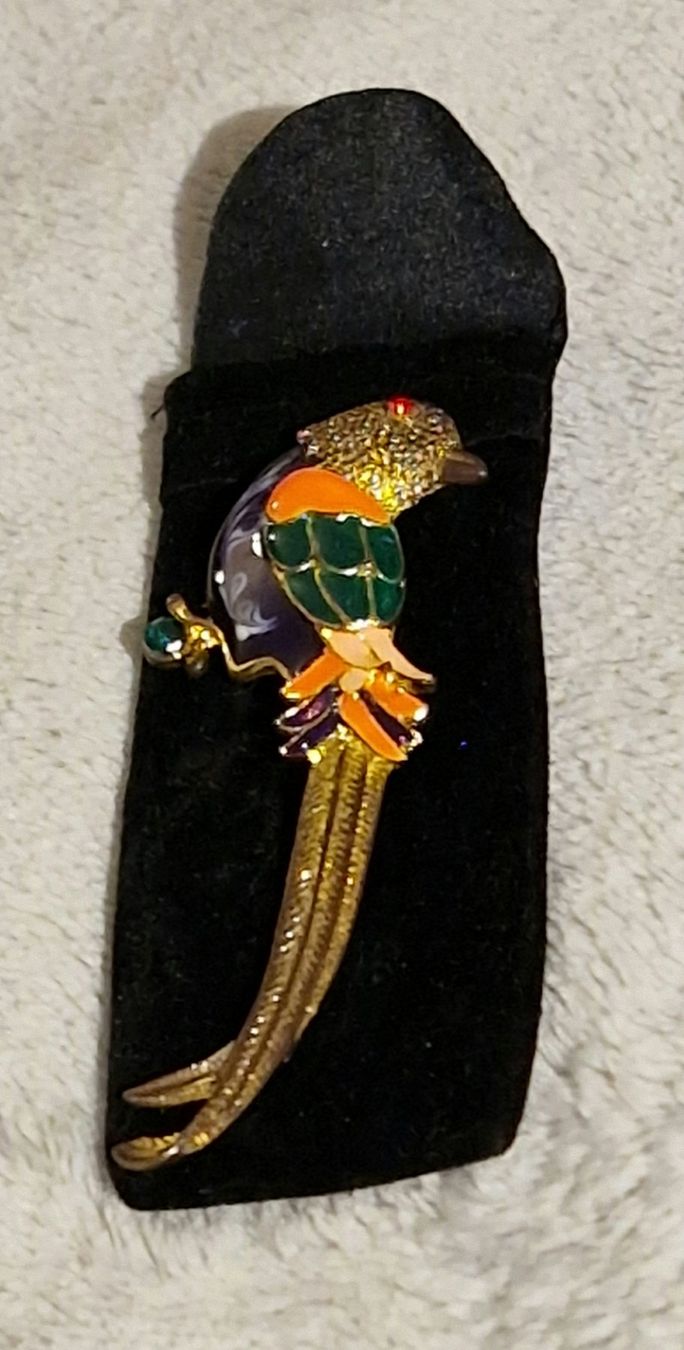 Broschen & Nadeln: Spezielle, schöne Vintage Brosche Fasan oder Paradiesvogel? – Gebraucht aus Zürich von silver-team