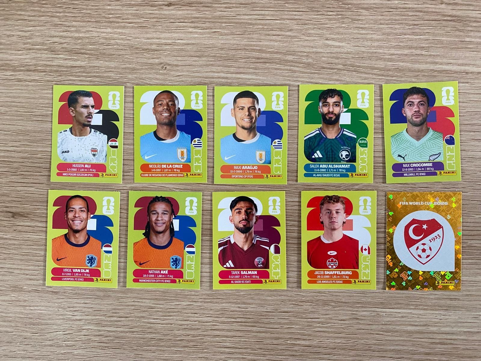 Panini Carte collezionabili: Panini WM 2026 – Usato da Bürglen TG venduto da Lise513
