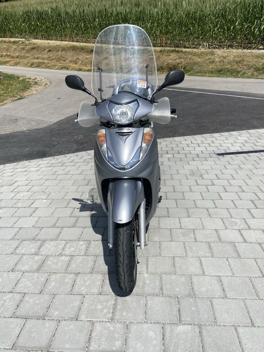 Honda Scooters: Honda SA300A – D'occasion à Rafz par BS-D 3