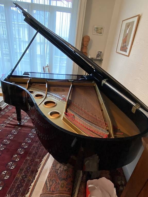 Instruments de musique: Piano à queue Yamaha – D'occasion à Morges par jul_698l 2
