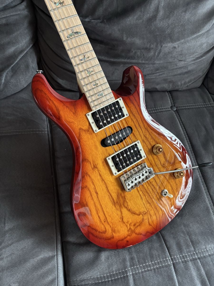 PRS Strumenti musicali: PRS Swamp Ash Special SE – Nuovo (secondo la descrizione) da uetendorf venduto da Volvorine16 1