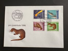 FDC Brief  Pro Juventute 1996  (P940)
