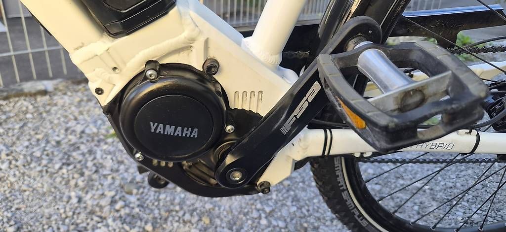 Biciclette: E-bike Wheeler – Usato da Aadorf venduto da BrunusBike 1