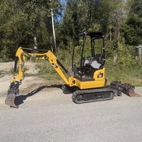 CAT Minibagger 1.7T
