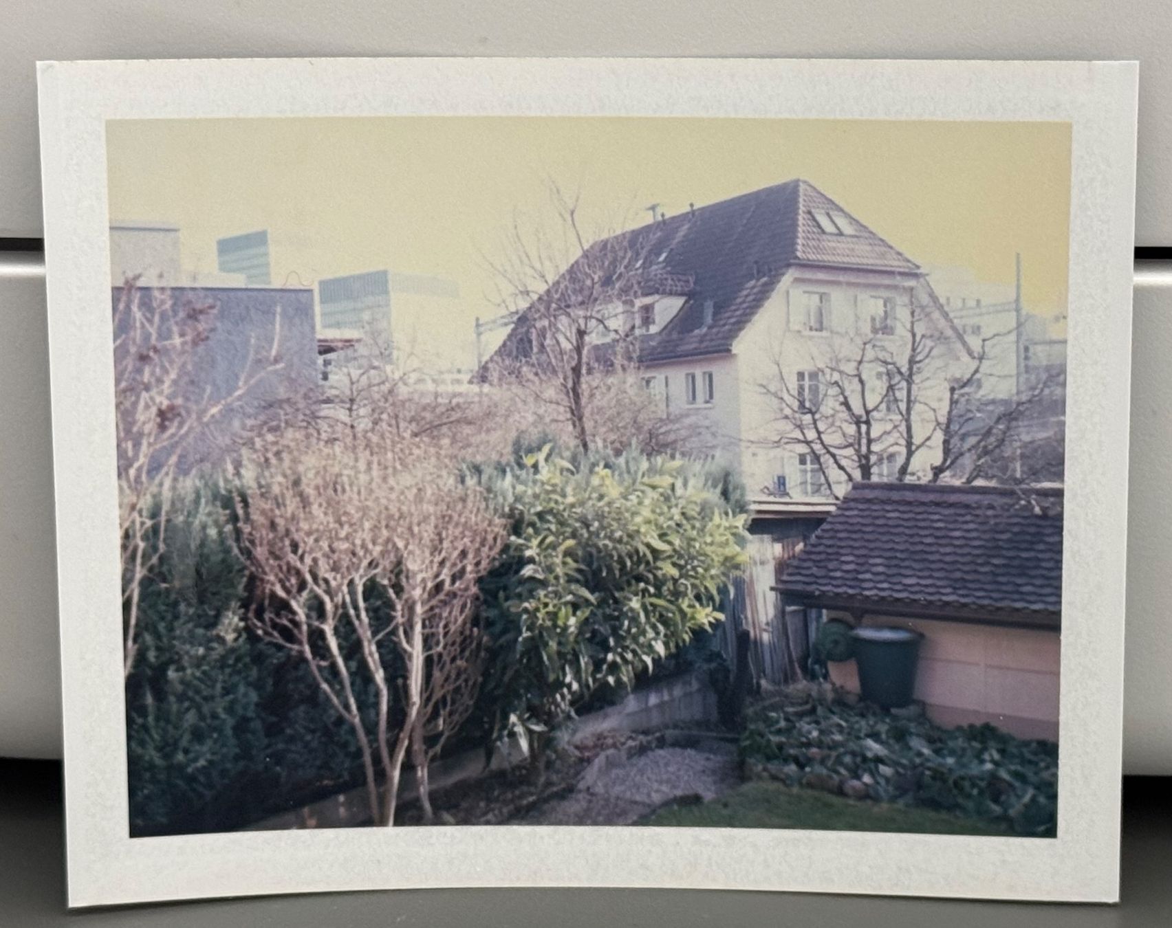 Fujifilm Pellicole: Fuji FP-100C Sofortbildfilm – Nuovo (secondo la descrizione) da Zürich venduto da moritz95