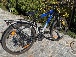 Crosswave Rebel Cross Country Velo 19"