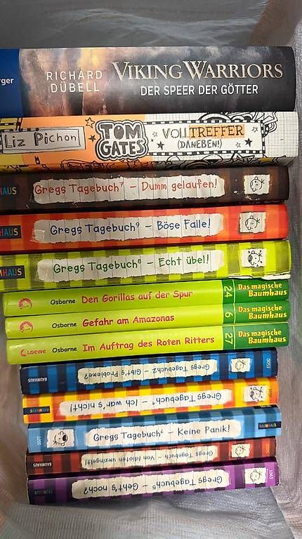 Libri: Kinder Buch  – Usato da Menzingen venduto da lua123