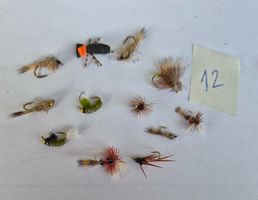 12 Stück  verschidene Nass Trockene Fliegen Nymphen