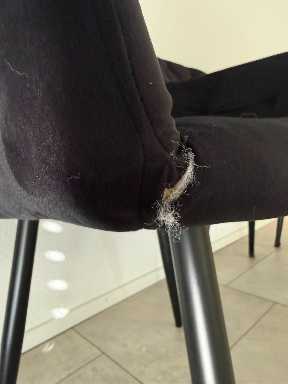 Chaises: 6 Stühle Esstisch – D'occasion à Rorbas par Fugsuzo 3