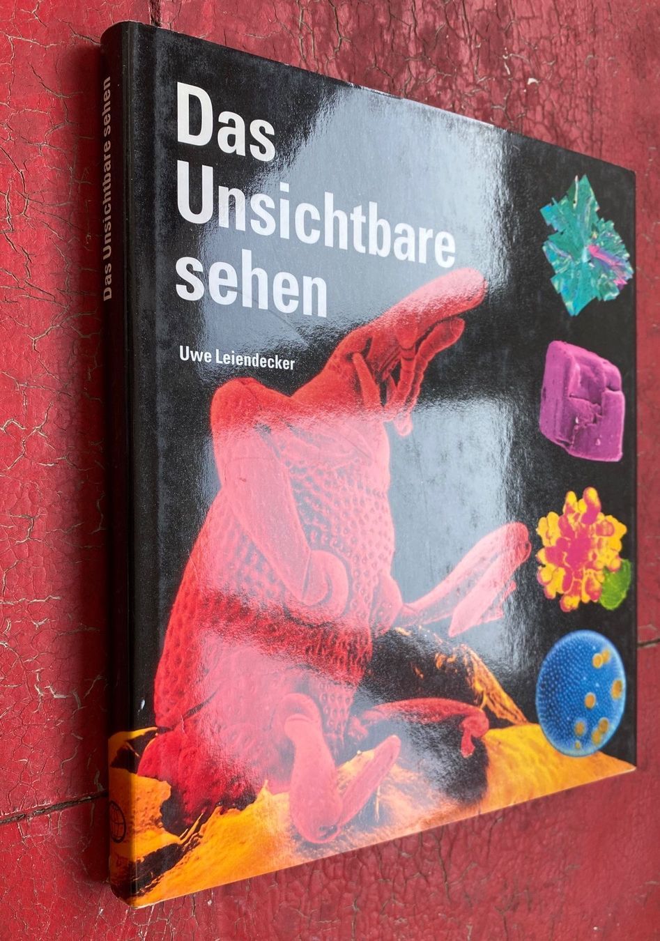 Bücher: Uwe Leiendecker: Das Unsichtbare sehen – Gebraucht aus Basel von Ostschweiz06 1