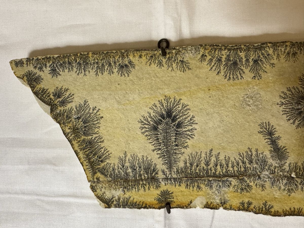 Piatti di portata: Dendritenplatte 41 x 14 cm – Usato da Gränichen venduto da onkel_xxl 2