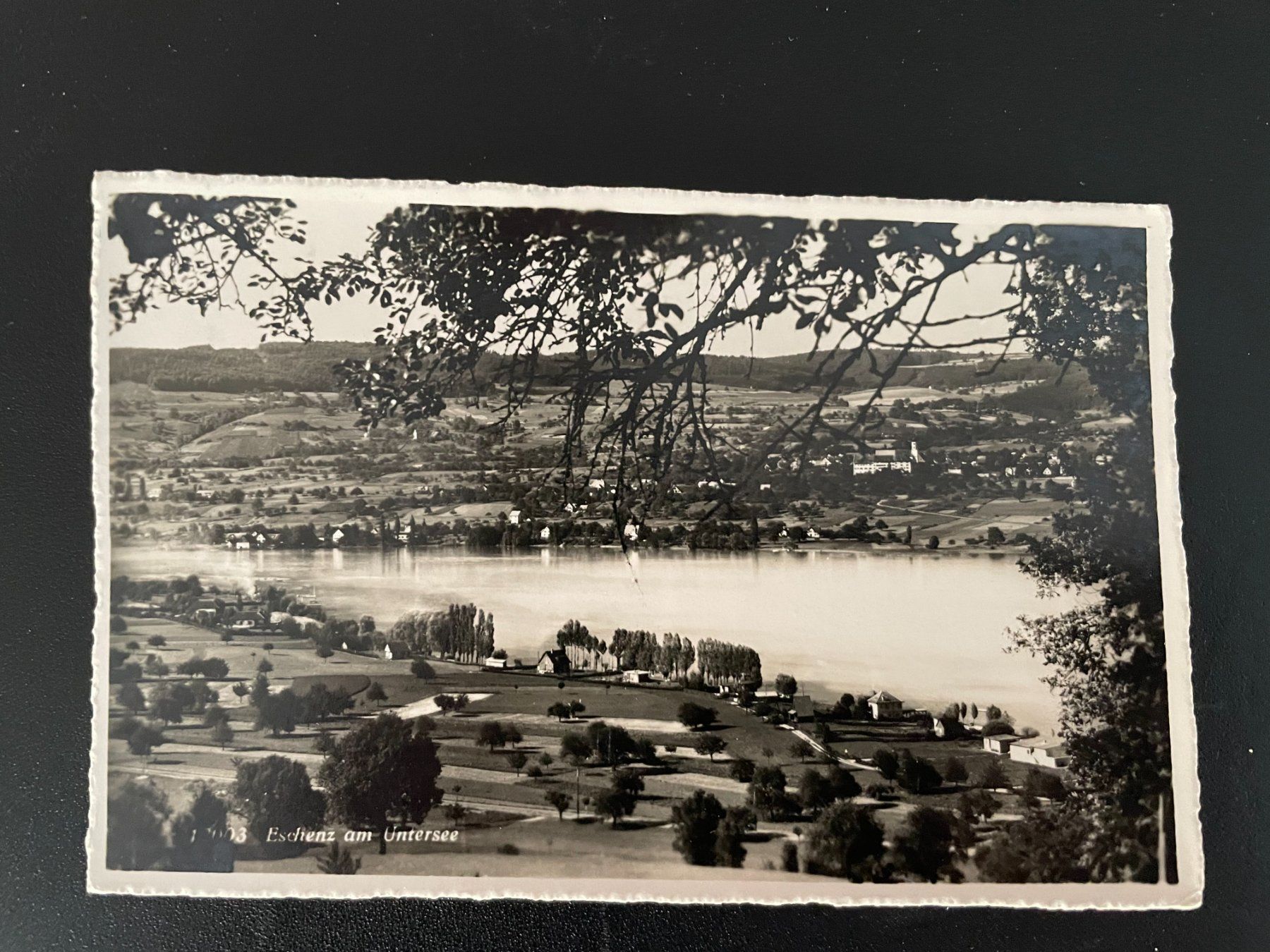 Cartoline postali: AK TG Eschenz am Untersee – Usato da Thal venduto da Danny82