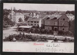 Frauenfeld TG , gel. 1901
