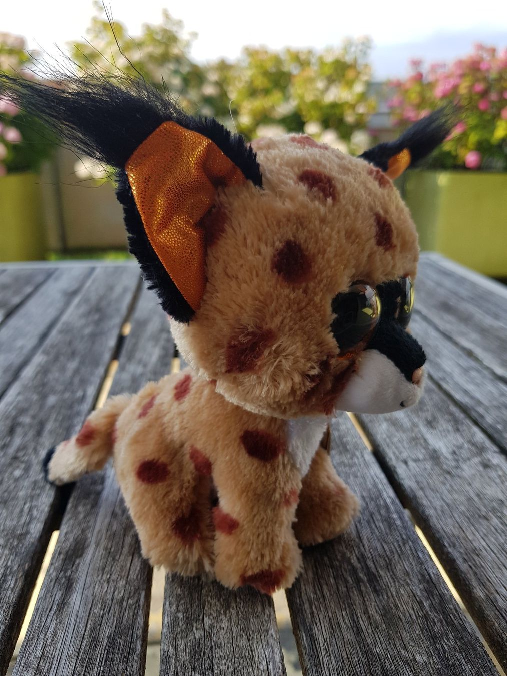 Ty Giocattoli: Plüschfigur BEANIE BOOS Buckwheat – Usato da Jona venduto da dampfnuggi 1