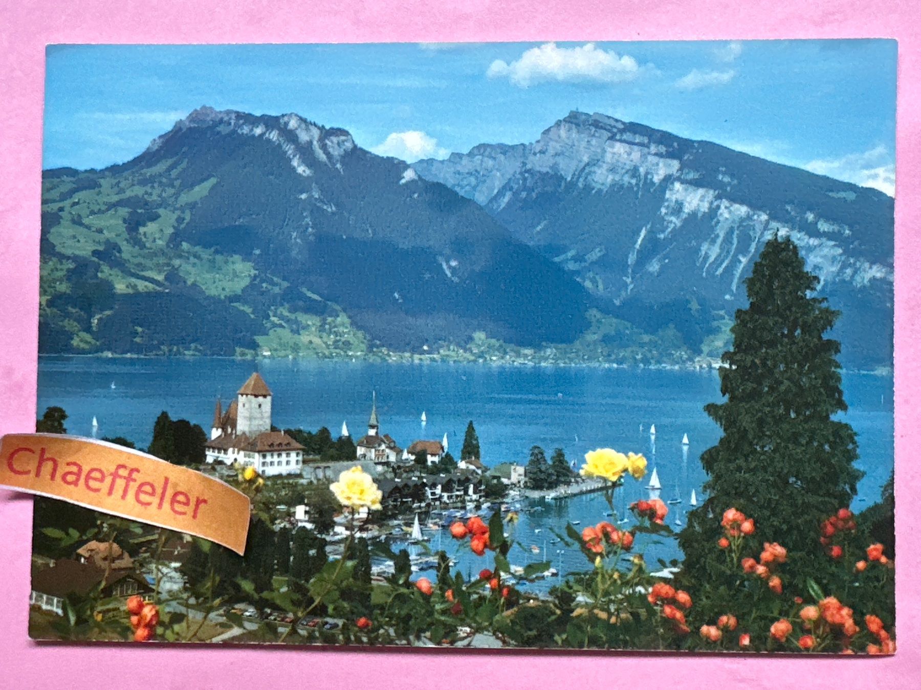 Cartoline postali: 1989 Spiez am Thunersee – Usato da Zürich venduto da Chaeffeler