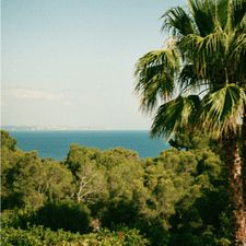 Profile image of Chantalmeyer1111