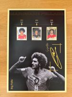 Panini-Plakat Marouane Fellaini