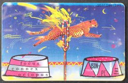 Taxcard - Leopard - D