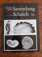 Buch Fosslien Sammlung Schalch