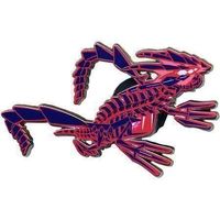 Eternatus Pin