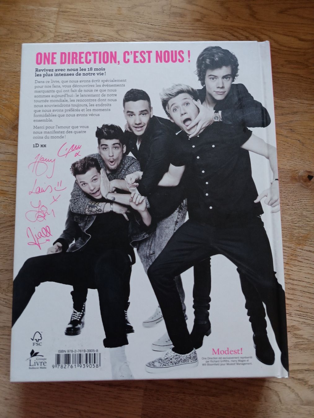 Libri: Livre One Direction 1D - Nous, Maintenant – Usato da Bex venduto da Canouille 1