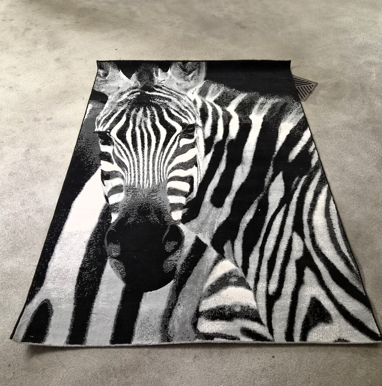Ikea Tapis: IKEA Teppich – D'occasion à Dättwil AG par Fope60 1