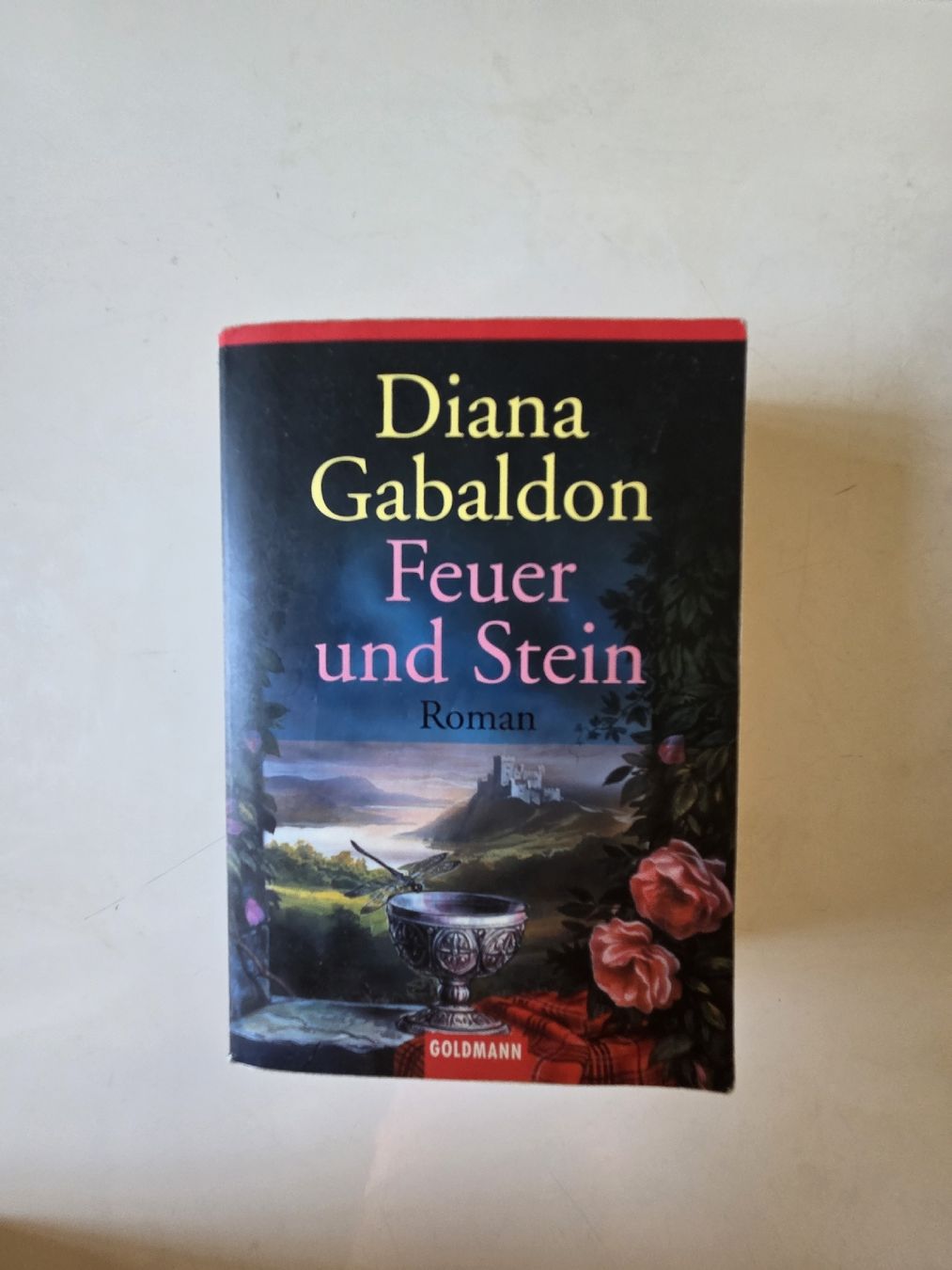 Libri: Diana Gabaldon Feuer und Stein  – Usato da Basel venduto da Mountainfreak