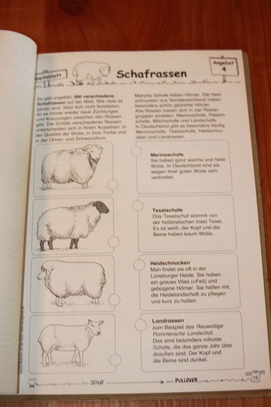 Livres: Werkstattmappe "vom Schaf zum Pullover" – Neuf (Voir description) à Wenslingen par Strick4Alpaca 4