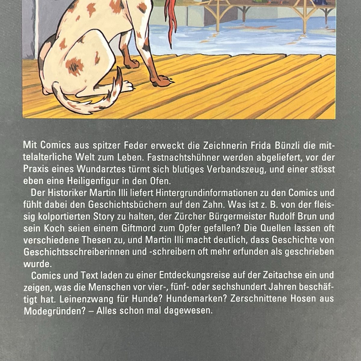 Fumetti: Hirsebarden und Heldenbrei – Usato da Schwyz venduto da rs-trend 2