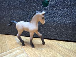 Schleich Fohlen