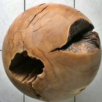 Holzskulptur Wurzel Apfelbaum; Armin Fernholz (Künstler) *)