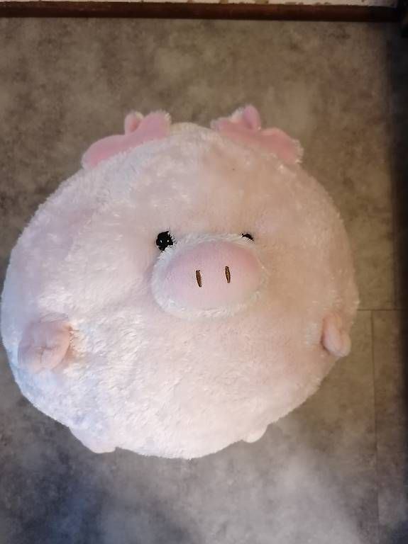 Giocattoli: Plüschtier squishy Pig / Turtle : Schweinchen / Schildkröte – Usato da Rieden AG venduto da sar_9f6s