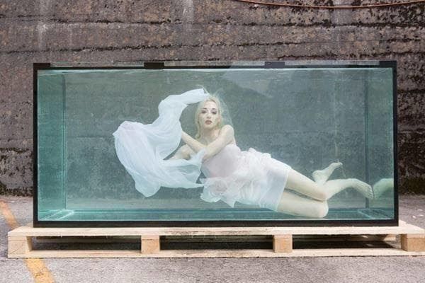 Acquari: Grosses Aquarium 220x80x100 – Nuovo (secondo la descrizione) da Berikon venduto da fischundart 1