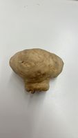Wunderschöner Baumperle Dekoartikel🍄🍄🍄