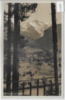 Wilderswil und Jungfrau