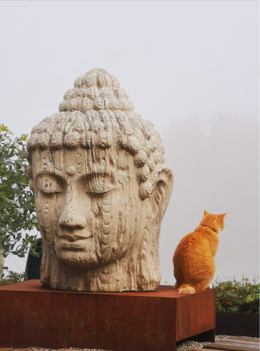 Sculture & Statue: Buddha inkl Sockel – Usato da Aathal-Seegräben venduto da rom_cg7q