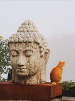Buddha inkl Sockel