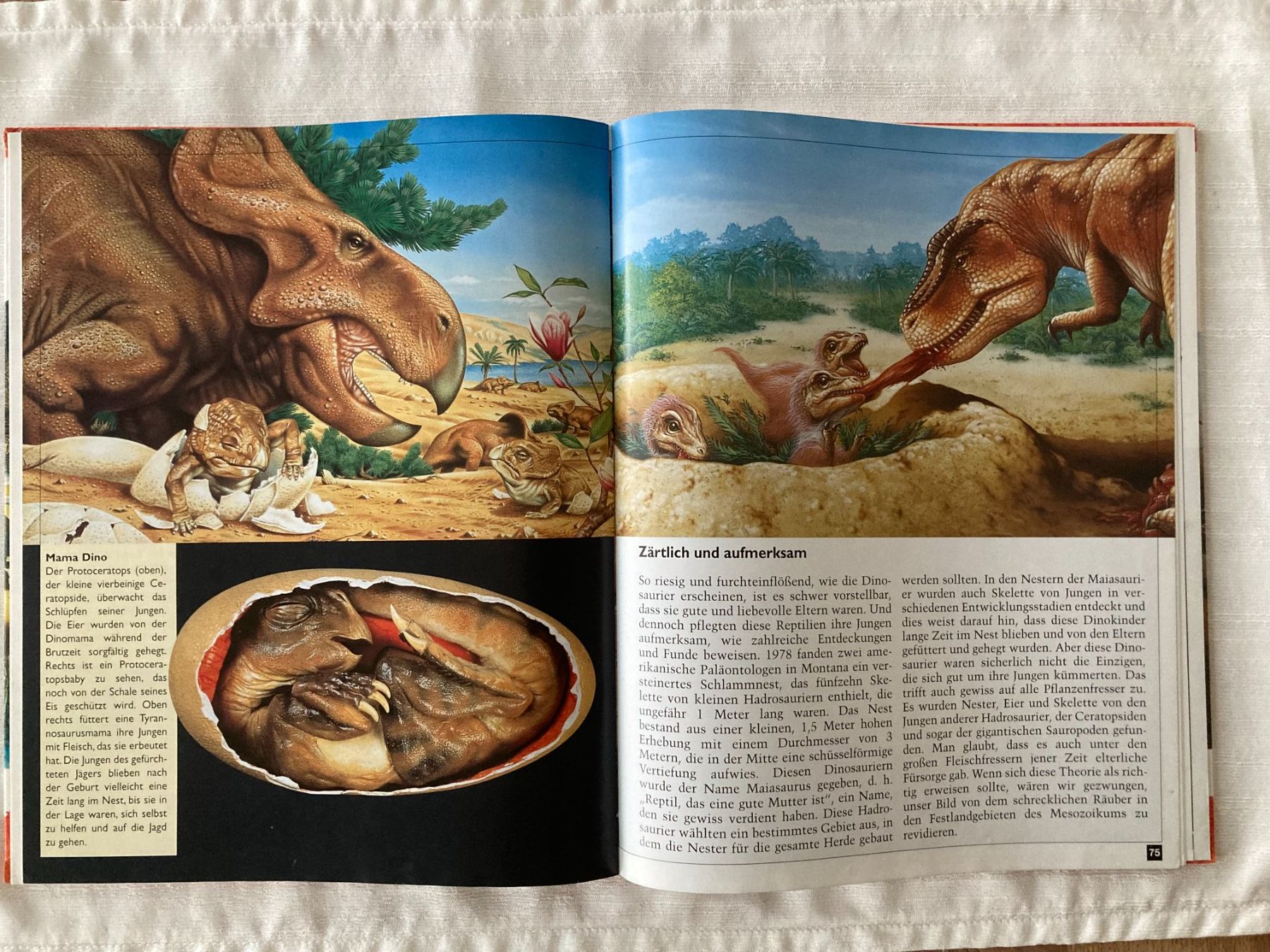 Libri: ***   Dinosaurierbuch   ***    Neuwertig   *** – Nuovo (secondo la descrizione) da Niederuzwil venduto da LaBambola 1