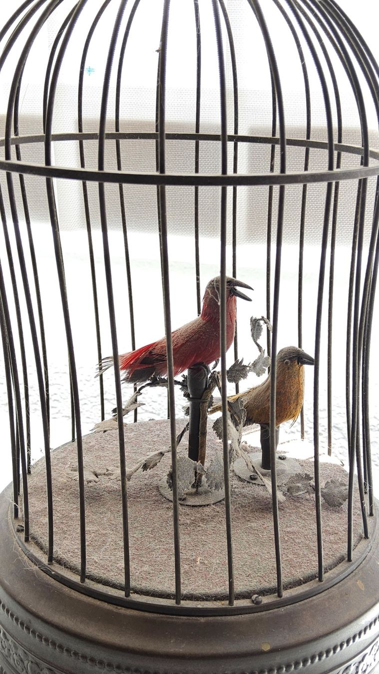 Carillon: Ancienne boîte à musique oiseaux chanteurs – Usato da Malleray venduto da Frederic24 1