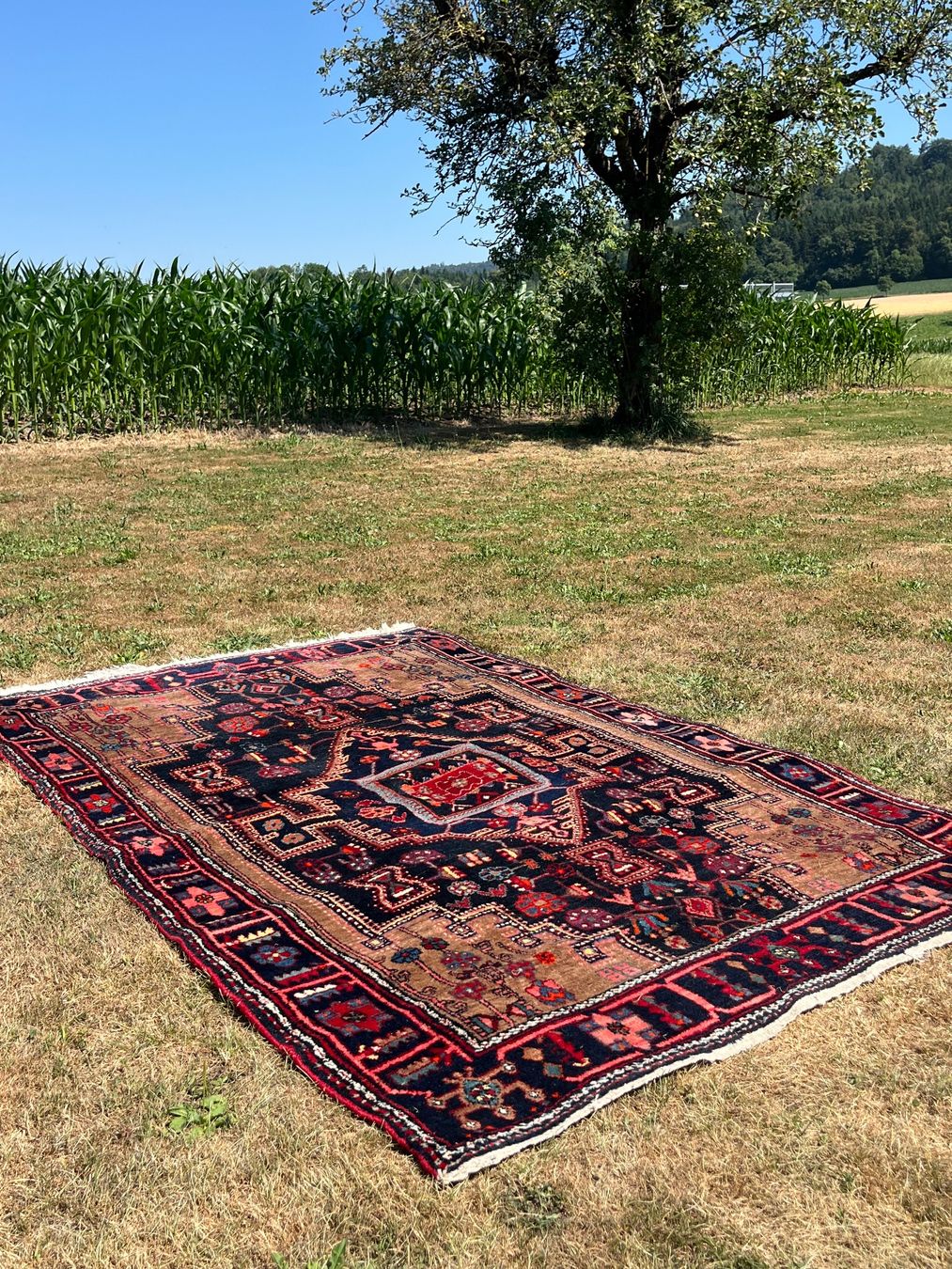 Tappeti: Orient Teppich Handgeknüpft Nahavand Iran – Usato da Allmendingen b. BE venduto da juair 4