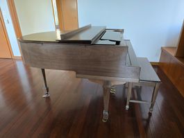 Flügel / Klavier / Piano