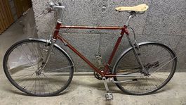 Siech 16Speed Men Urban zu verkaufen (nicht fahrtüchtig)